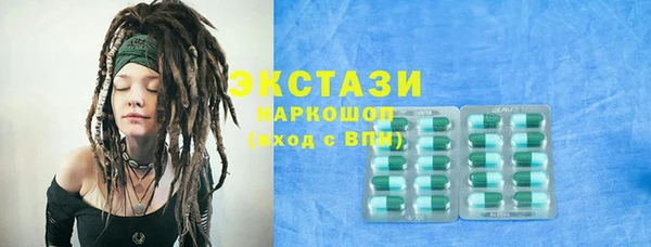 шишки Надым