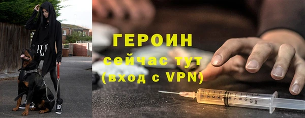 шишки Надым