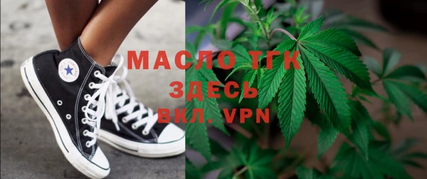 шишки Надым