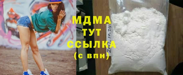шишки Надым