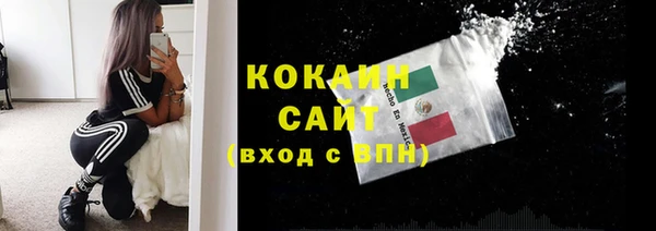 шишки Надым