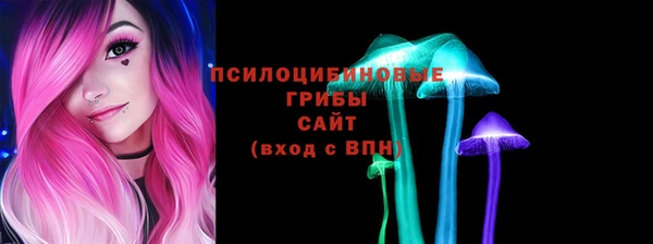 гидра Нефтегорск