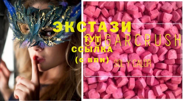 шишки Надым