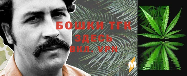 шишки Надым