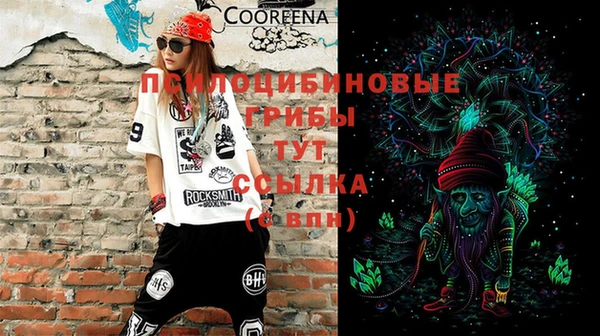 мдпв Белая Холуница