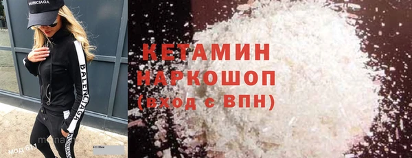 шишки Надым