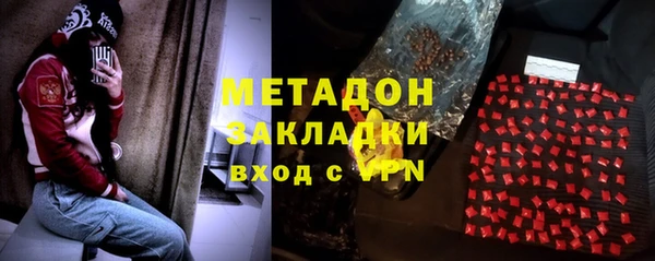 шишки Надым