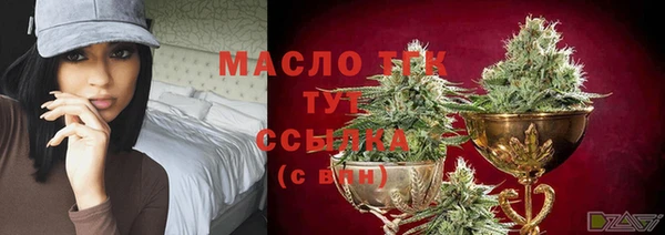 шишки Надым