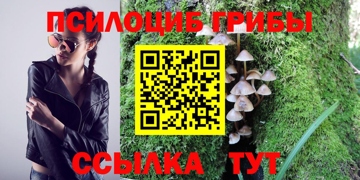 Галлюциногенные грибы ЛСД Барабинск