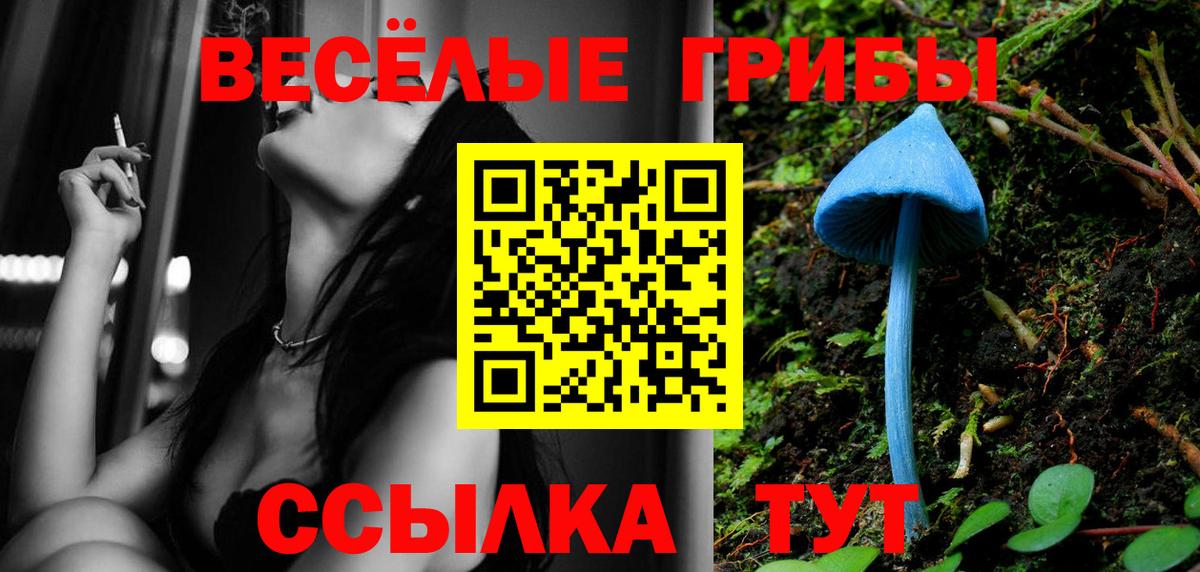 Псилоцибиновые грибы Psilocybine cubensis  Барабинск 